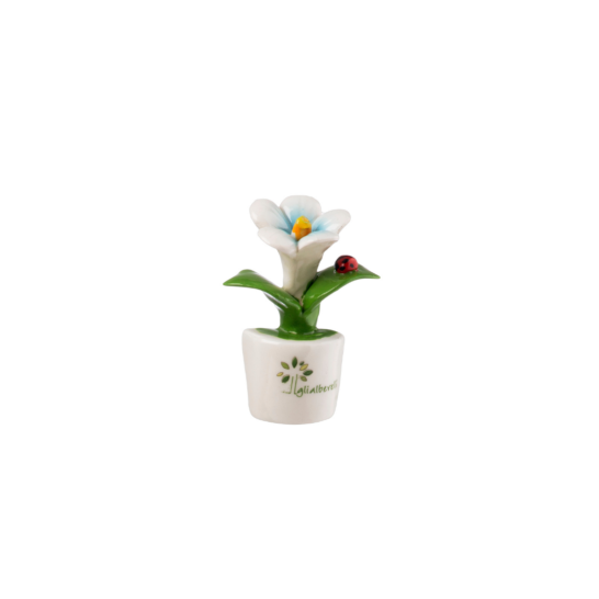 Gli Alberelli - kit 8 pz Magneti Fiori e Frutta