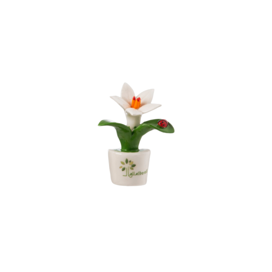 Gli Alberelli - kit 8 pz Magneti Fiori e Frutta