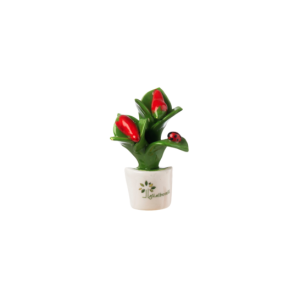 Gli Alberelli - kit 8 pz Magneti Fiori e Frutta