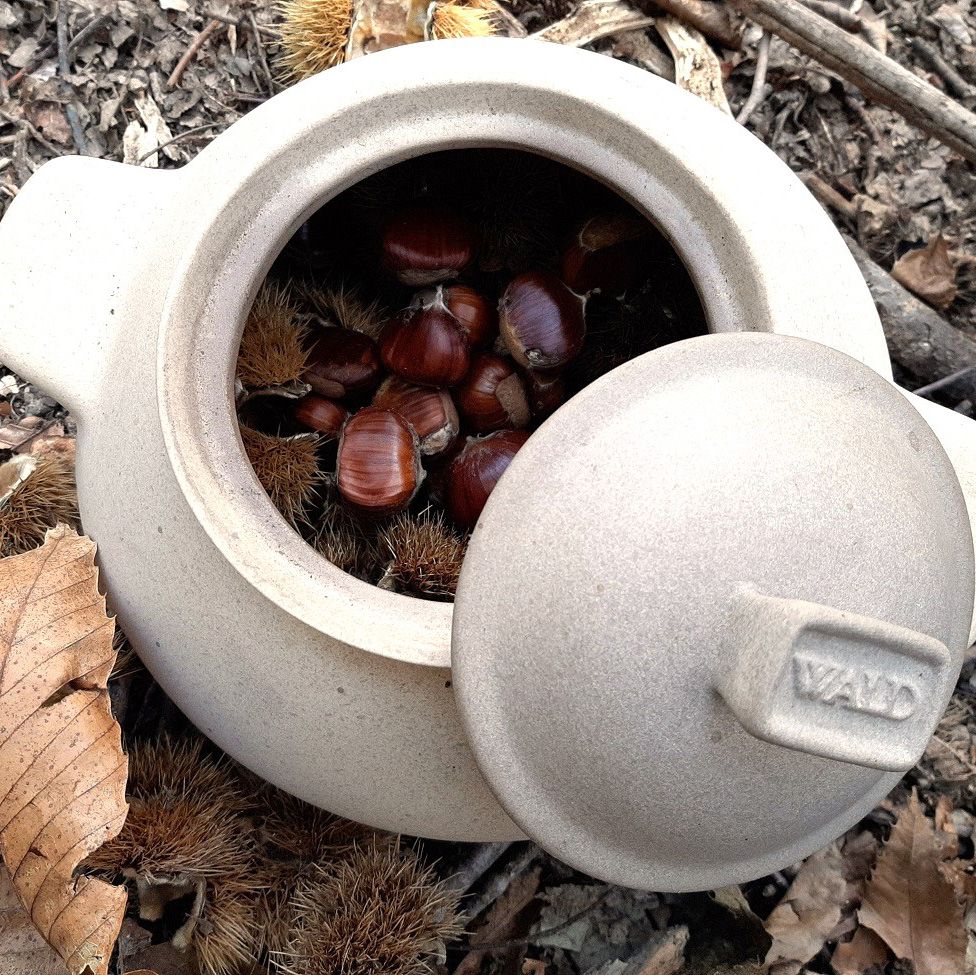 Wald & co - Cuocipatate-cuocicastagne