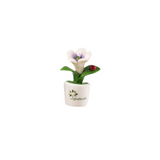 Gli Alberelli - kit 8 pz Magneti Fiori e Frutta