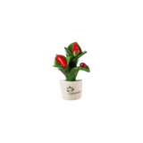 Gli Alberelli - kit 8 pz Magneti Fiori e Frutta