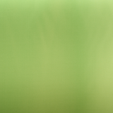 F.lli Carillo - Raso Rio Verdino 150cm