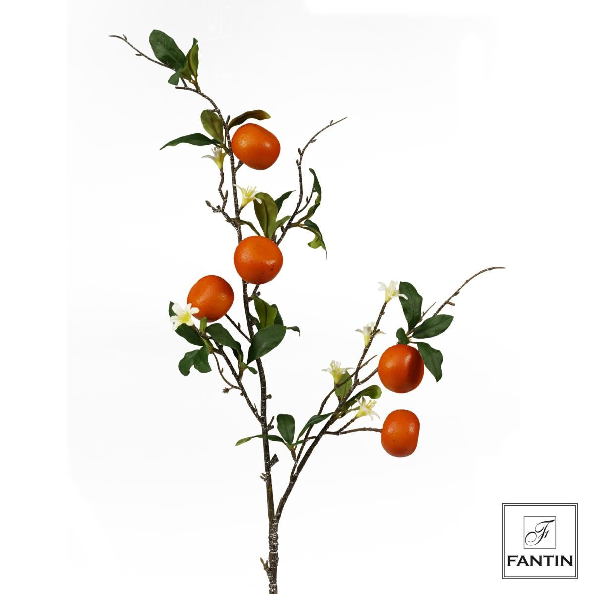 Fantin argenti - Composizione 6 Rami Mandarini