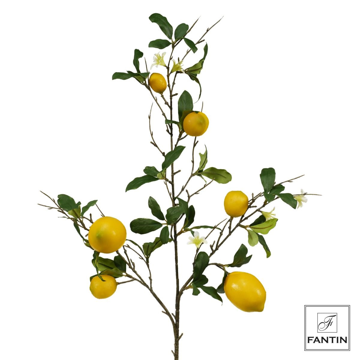 Fantin argenti - Composizione 6 Rami Limone