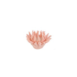 Le Stelle - Corallo Candela 3Ass. 12x12xh. 7cm