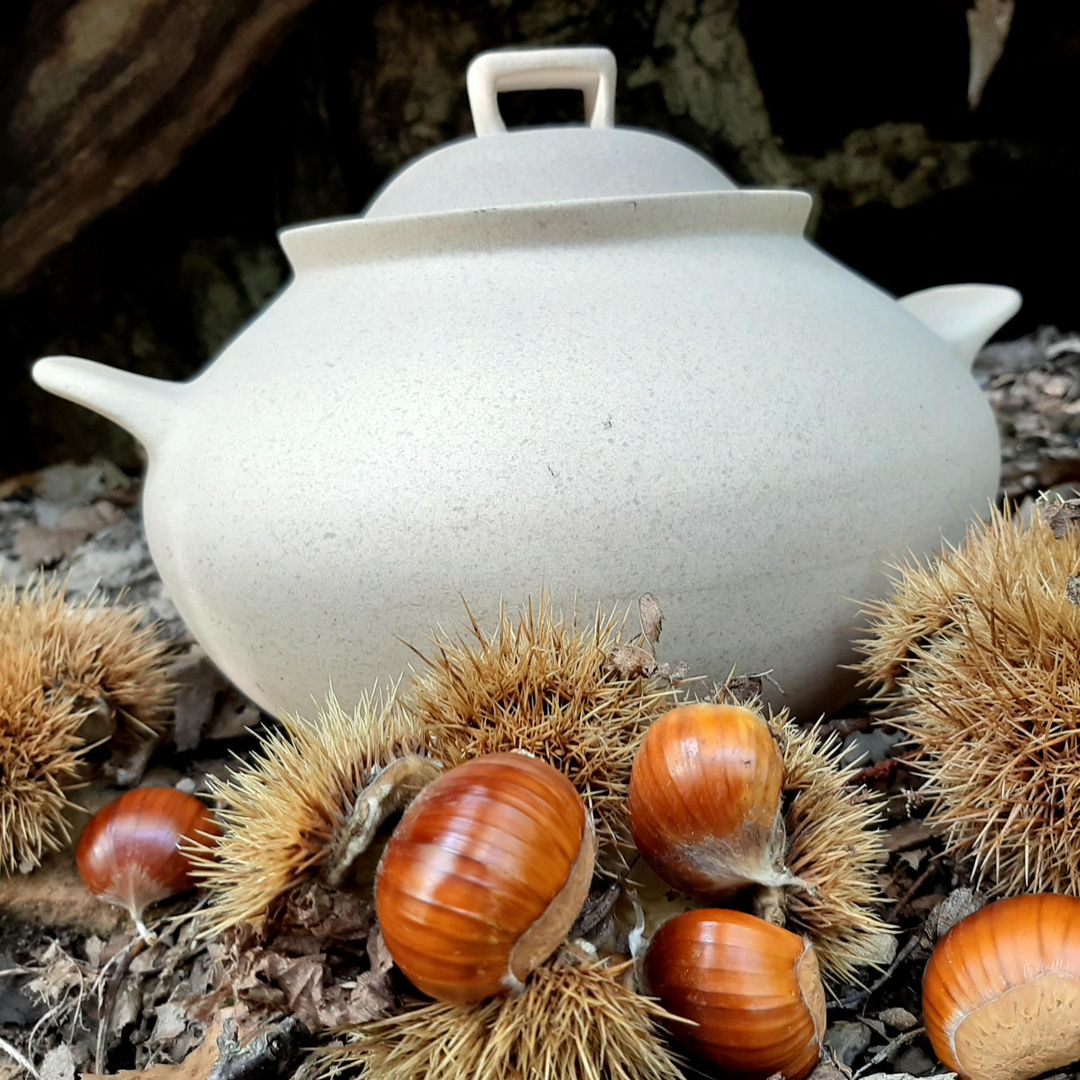 Wald & co - Cuocipatate-cuocicastagne